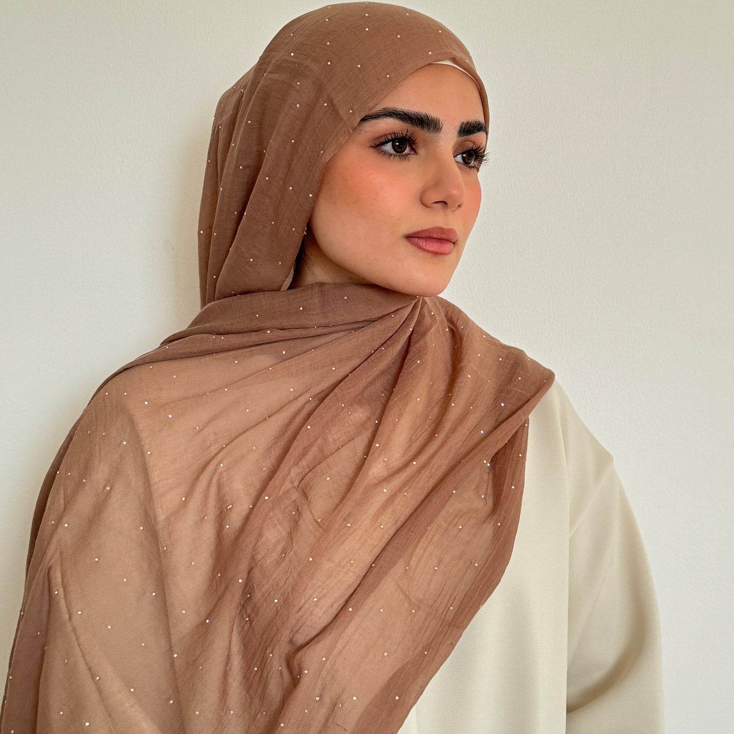 Warm Brown Stone